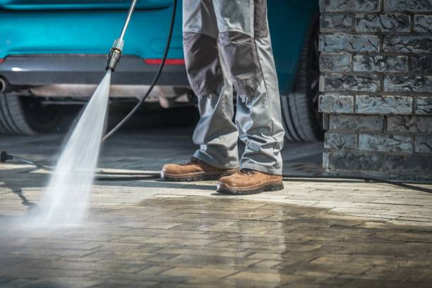 Best Pre-Holiday Cleaning  in Colmar Manor, MD
