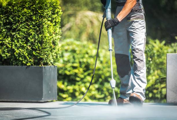 Best Animal Enclosure Cleaning  in Colmar Manor, MD